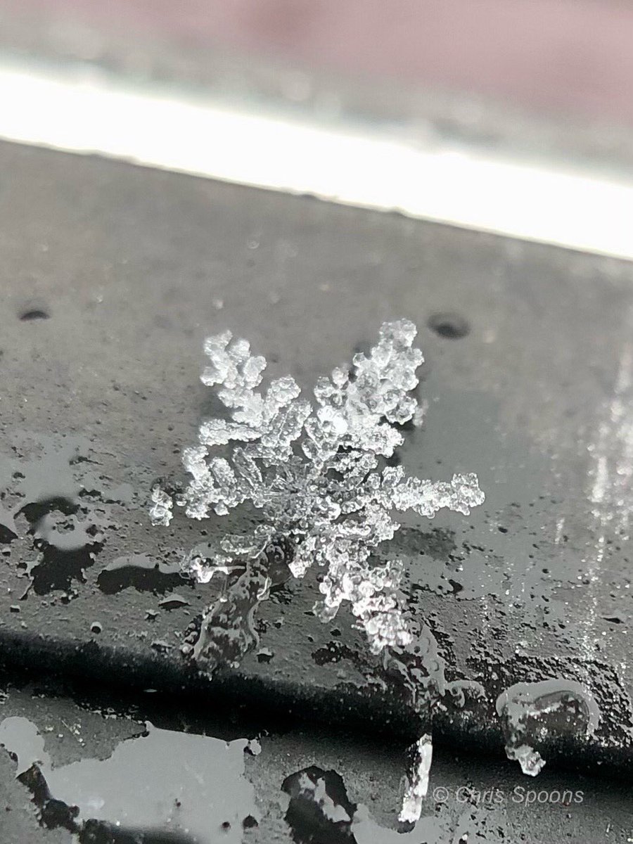 And so it begins…

#WinterStorm #snowflake #ilwx #NaturePhotography #TwitterNatureCommunity #MacroPhotography #ThePhotoHour <a href="/MacroHour/">#MacroHour 🌿</a> <a href="/EarthandClouds/">Earth and Clouds</a> <a href="/EarthandClouds2/">Earth and Clouds II</a> @LensAreLive