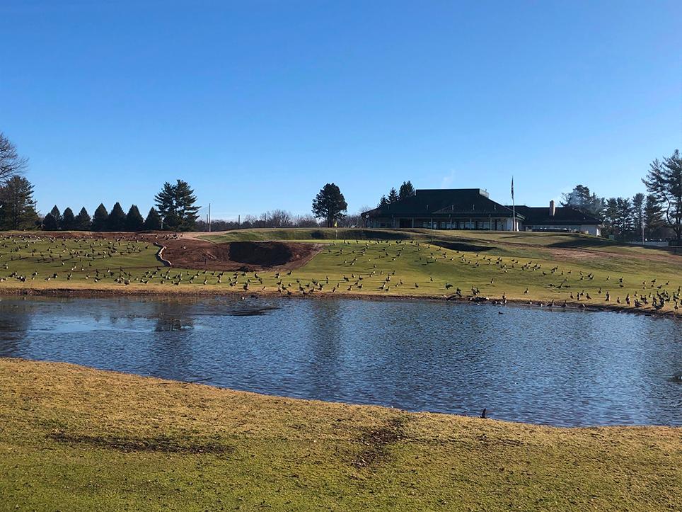 Bradley S. Klein 🇺🇦 tweet media