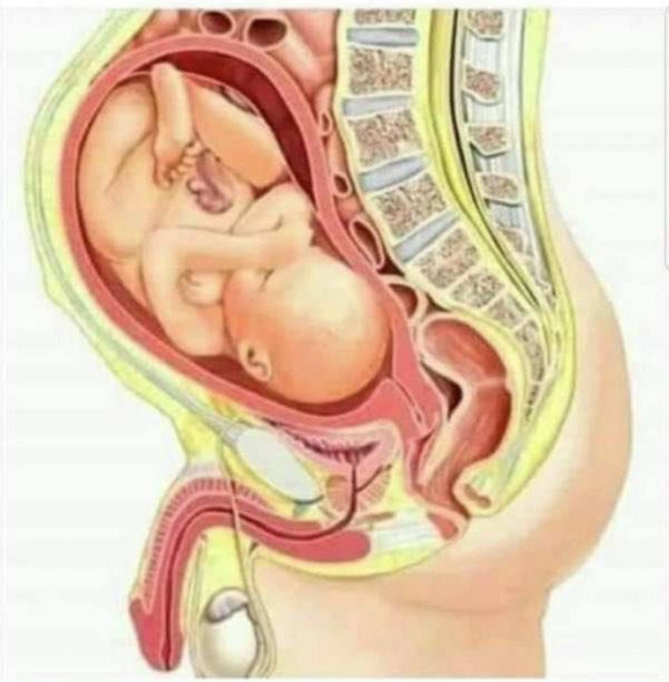 PatPanActivist's tweet photo. Nothing makes me happier than walking into our doctors office and seeing this. All the kids are getting extra doses of puberty blockers for Christmas & the 10 year old twins are getting consultations for bottom surgery. You can’t deny science.
#ScienceIsTruth
#PatSaidThat https://t.co/QLgma3GDuy