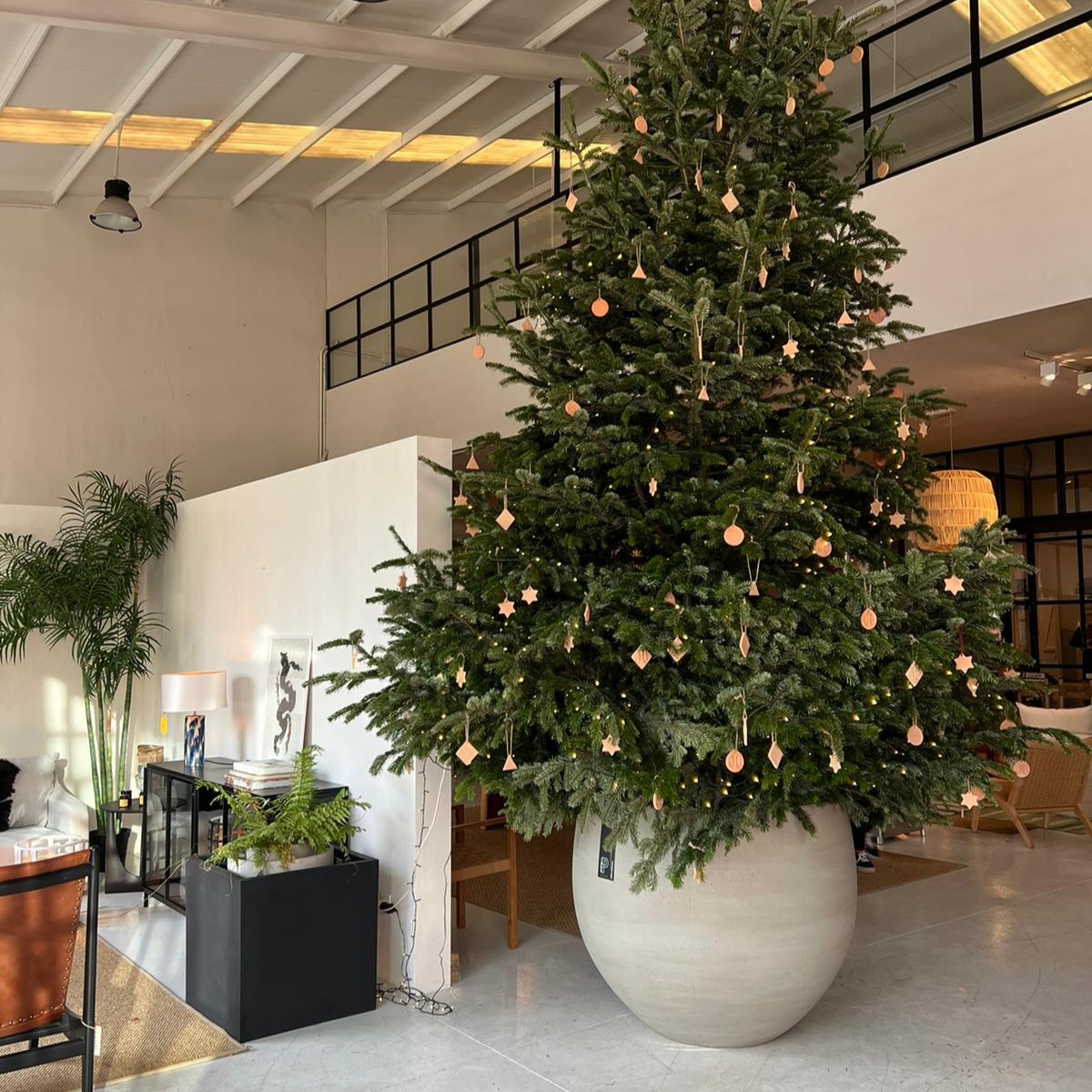 potterypots's tweet photo. All I want for Christmas is......

Today we received these pictures from @jessicabataille.company of the installation of their Christmas tree in our Urban Orb.

And the end result is really beautiful.

https://t.co/wrv5MuRloT https://t.co/r4PvheKcbR