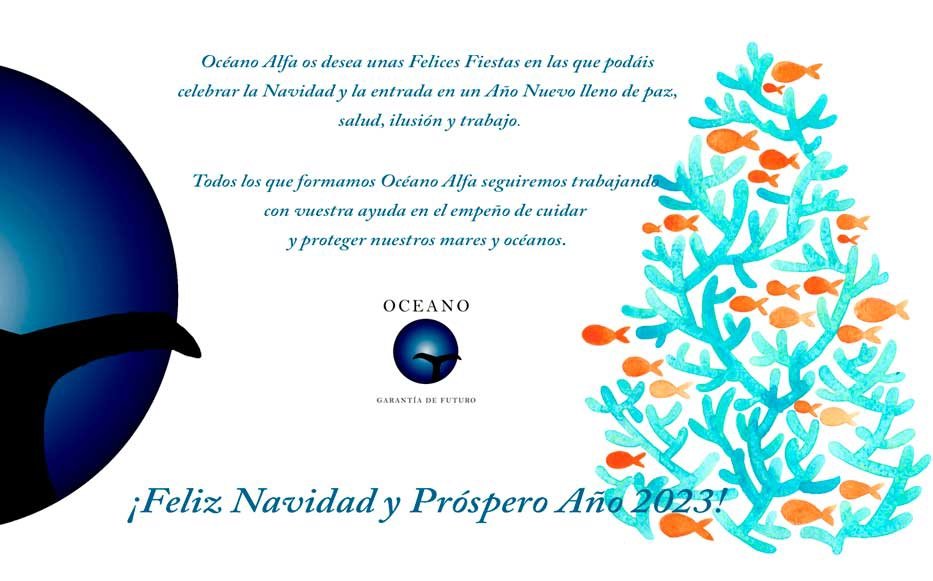 Desde #océanoalfa queremos desearos de todo corazón una muy Feliz Navidad y un 2023 lleno de nuevos retos y proyectos para cuidar y proteger nuestros mares y océanos💙🌊🎄👼🎅🏽💙🎄
¡FELIZ NAVIDAD!