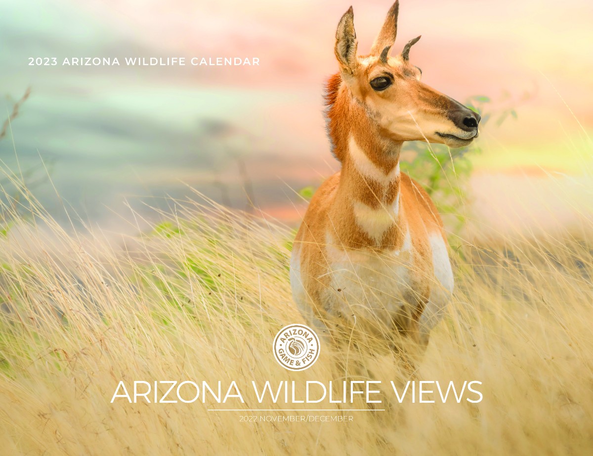 Arizona Game & Fish (@azgfd) / Twitter