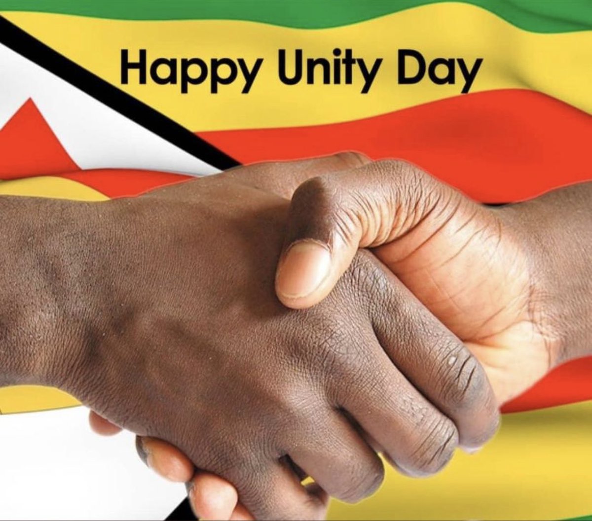 YICD_Zimbabwe's tweet image. Happy unity day Zimbabweans. Today YICD joins the rest of the nation in celebrating National Unity Day.

Together we go further &amp;amp; achieve more. There is power in Unity🇿🇼.

#unityday2022🇿🇼