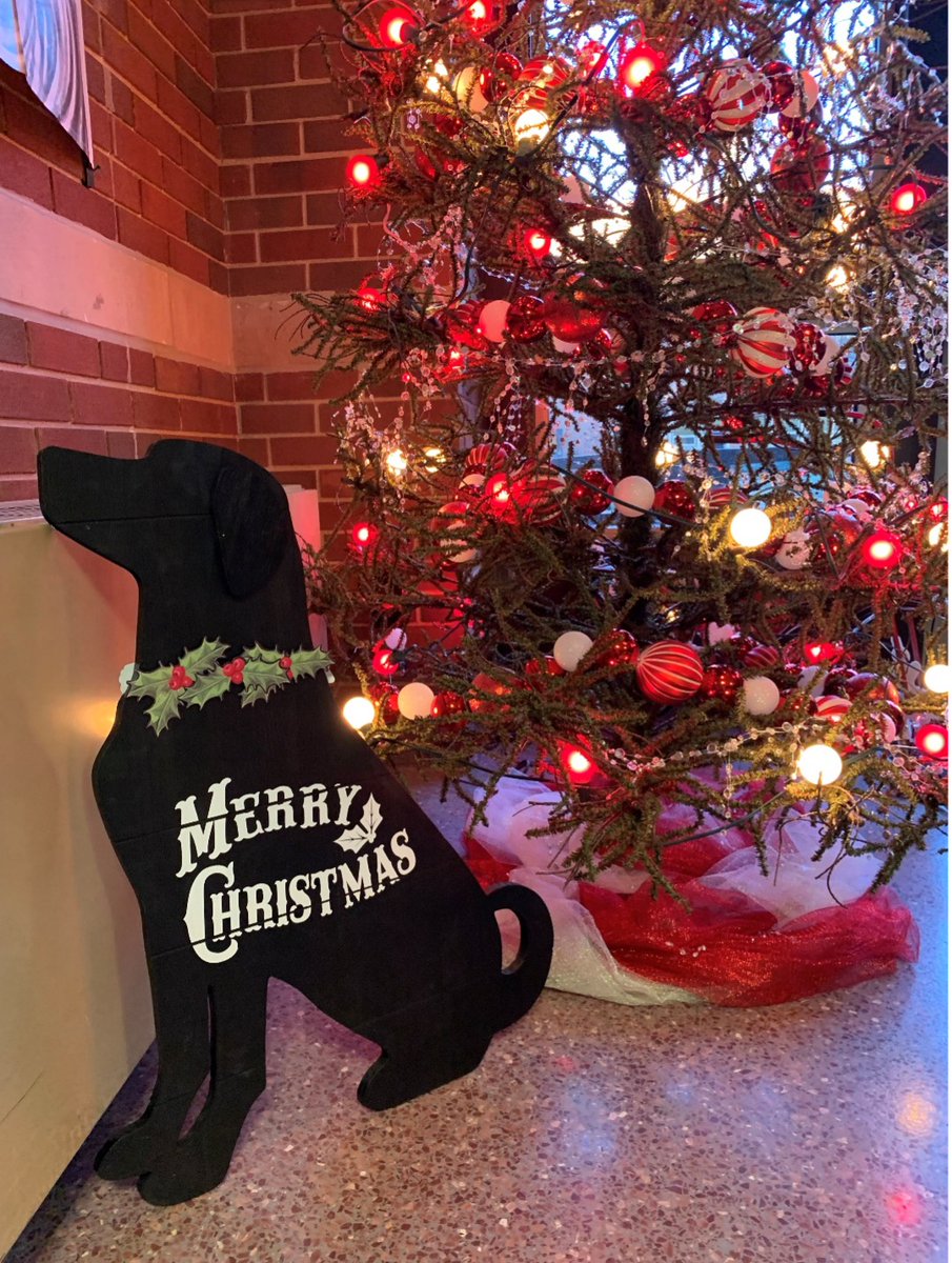 pucvm's tweet photo. PVM is decorated and prepared for the Holiday!

#PVMFamily #PurdueVetMed #PurdueUniversity #BoilerUp #Boilermakers #BeAPurdueVet #FutureDVM #PurdueDVM #MerryChristmas #HappyHolidays #HolidaySeason https://t.co/60QmNYPBG5