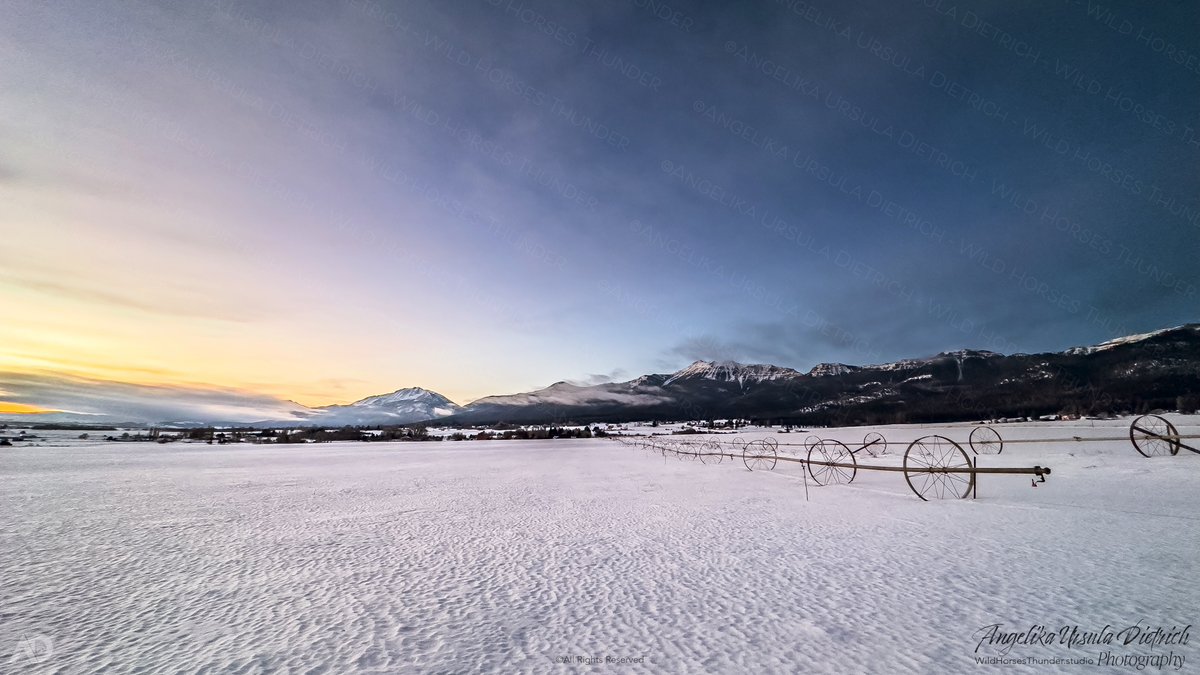 wildhorses1889's tweet image. "We are one with nature. Living with Mother Earth - majestic, generous, and harsh, but invariably purposeful in its design." ~AUD
GROUND ZERO this morning! The same view &amp;amp; mtn. Yet, we never tire of God's incredible outdoors living in the Wallowa Valley, ancient home of Nez Perce