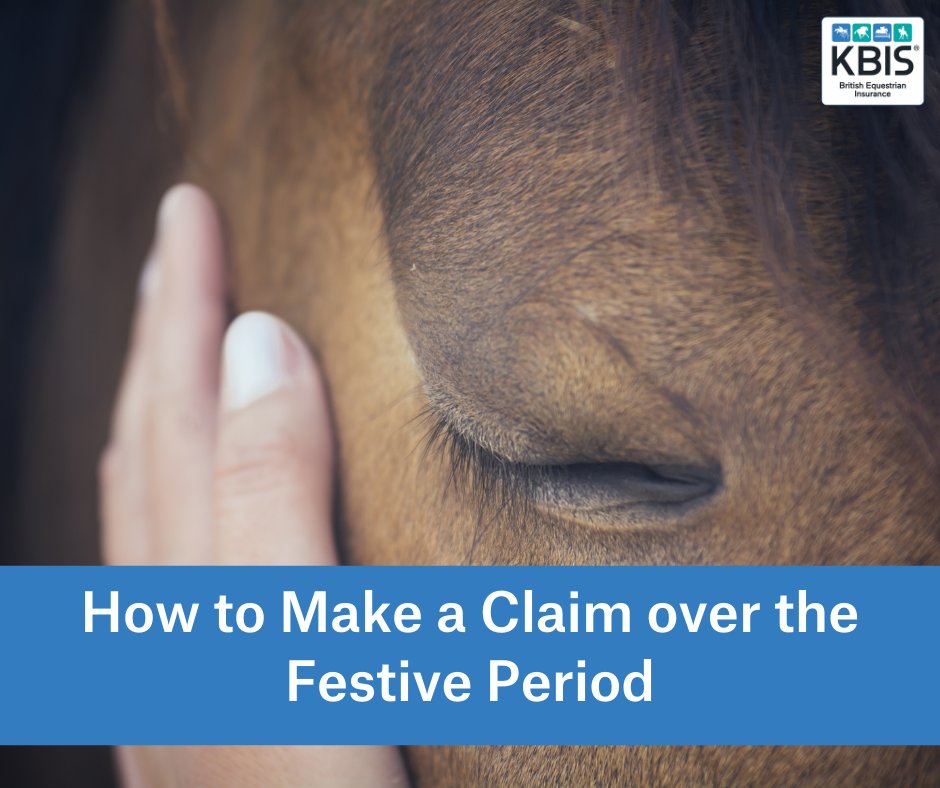 Whilst we give our team a well-deserved break over the festive period, we understand not everything stops at this time of year. If you find yourself needing to make a claim on your horse insurance policy, read our 'how-to' guide at 👉 bit.ly/KBIS-Festive-P…

#wevegotyoucovered
