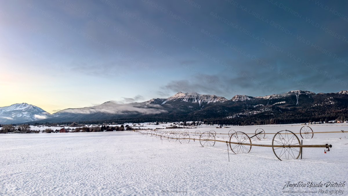 wildhorses1889's tweet image. "We are one with nature. Living with Mother Earth - majestic, generous, and harsh, but invariably purposeful in its design." ~AUD
GROUND ZERO this morning! The same view &amp;amp; mtn. Yet, we never tire of God's incredible outdoors living in the Wallowa Valley, ancient home of Nez Perce