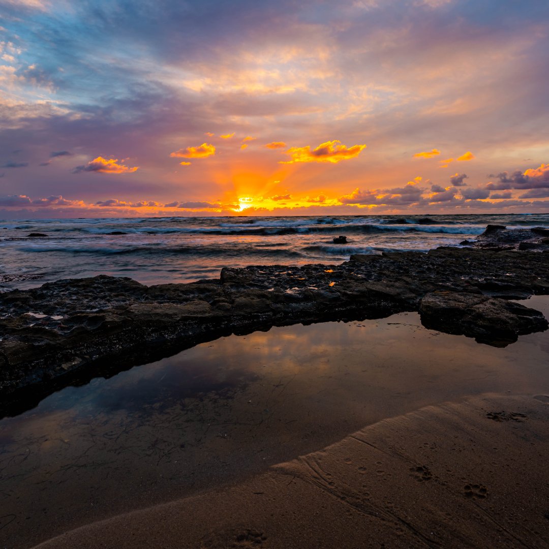 doubletreesdbay's tweet image. With our bayside Point Loma location and the Sunset Cliffs a hop, skip and jump away from our hotel, you'll never run out of places to take some amazing Insta-worthy shots. 🌊💕

📸 @bommaritofineart

#HolidayInnBayside