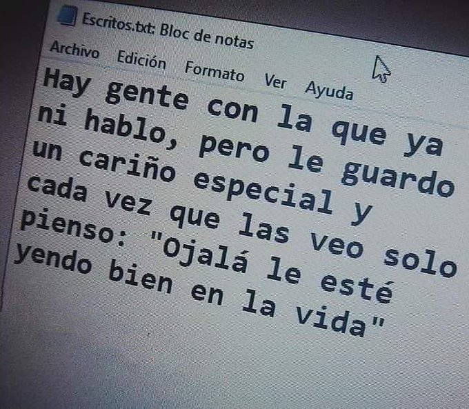 Hentai Senpai podr&aacute; ser un asshole pero la persona detr&aacute;s solo desea lo mejor incluso si le han hecho<a href="/tag/mundialqatar2022"class="tags"><span>#mundialqatar2022</span></a>
