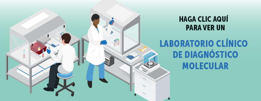 AMPath's tweet photo. AMP se complace en anunciar que el gráfico "laboratorio clínico de diagnóstico molecular" está disponible en Español. Si tienes alguna pregunta sobre patología molecular o ideas para nuevas traducciones, pónte en contacto con nosotros [policy@amp.org].
https://t.co/M46kUbRjgH https://t.co/0fUAXoZMXO