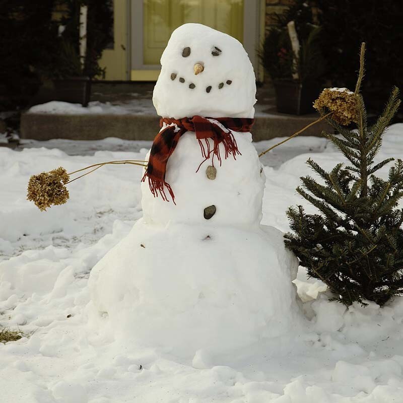 AmyLM2019's tweet photo. What did one snowman say to the other snowman?

Can you smell carrot? 🥕🥕🥕

 😂

Do you have any Christmas jokes to tell? ☃ https://t.co/sksgIxZKBS