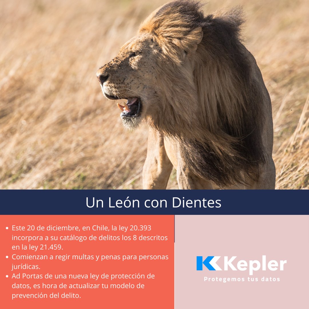Kepler Latam tweet media