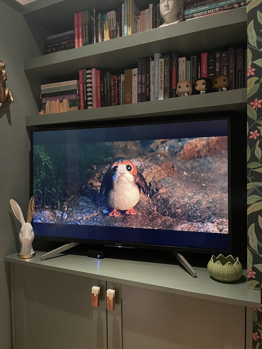 Stephanie Milton tweet media