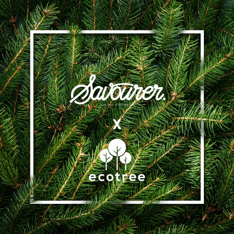 🌲Pourquoi avons-nous offert des arbres <a href="/EcoTree_contact/">EcoTree_France</a>  à nos clients ?

Et bien parce qu’un arbre, c’est jusqu’à 25kg de CO2 compensés par an, soit l’équivalant de 10 593 km parcouru en TGV ! 🚅

👉 Vous aussi, agissez sur ecotree.green

#ecotreefrance #green #agir