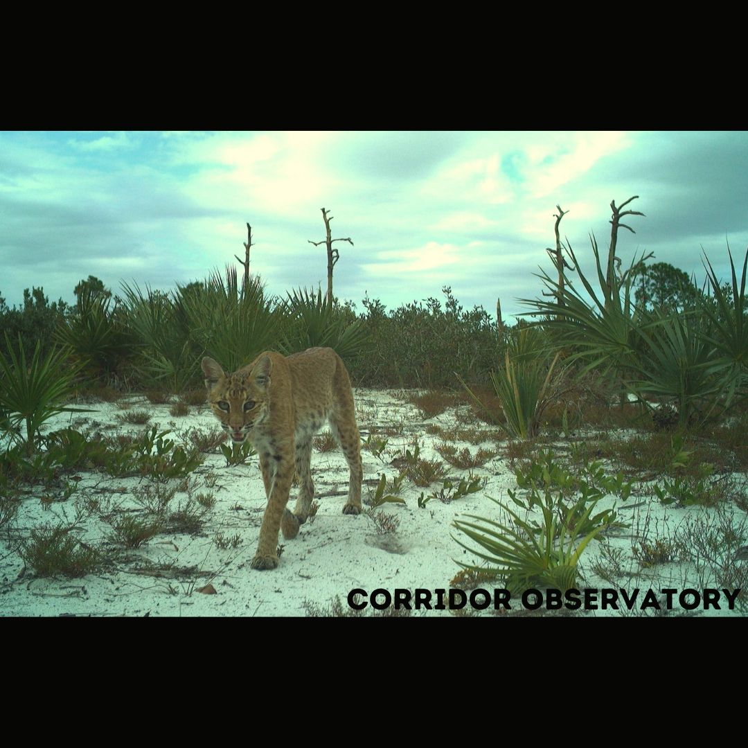 Joseph M. Guthrie tweet media