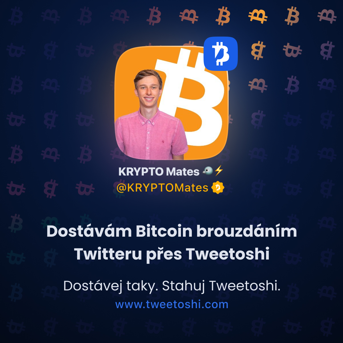 Tweetoshi 🐦⚡️ tweet media