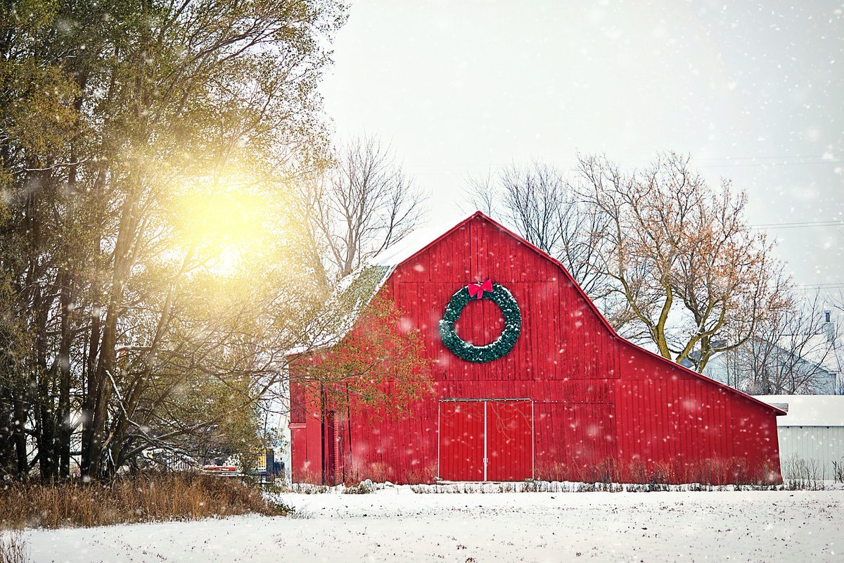 PatersonGrain's tweet photo. From all of us at Paterson Grain, have a safe and happy holiday! https://t.co/5WMmi3x3K7
