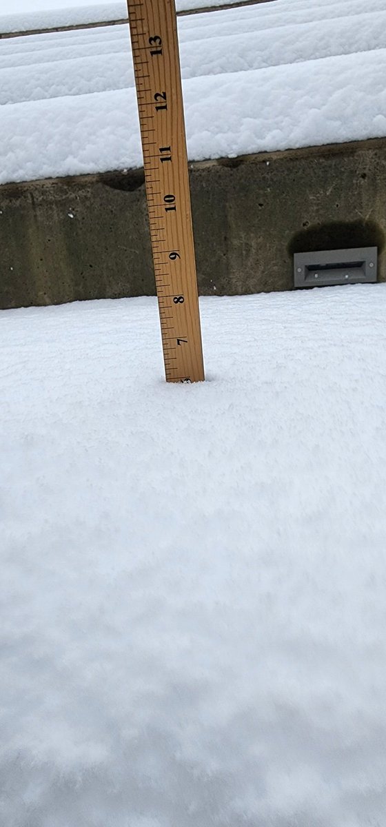 SCAHSPrognosticators tweet media