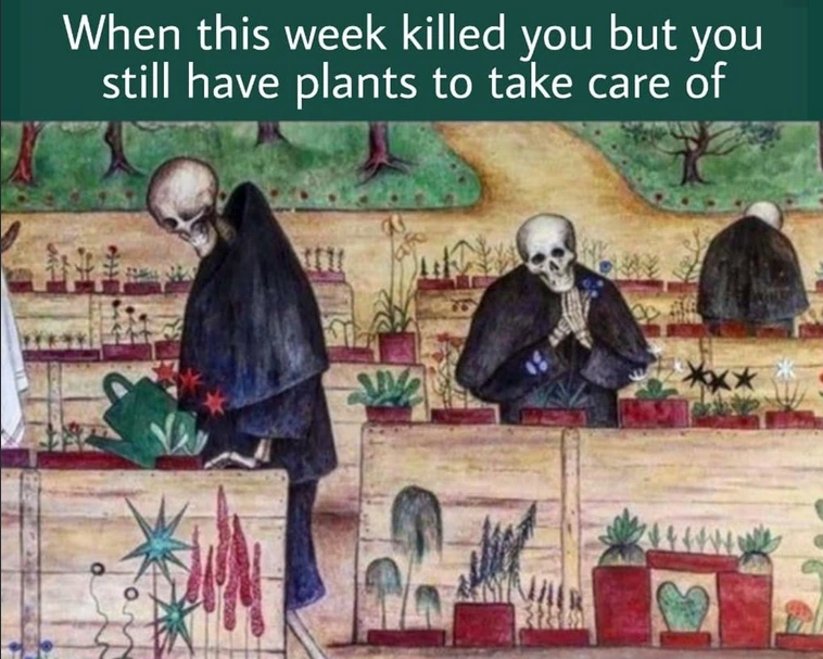 Zeniticist's tweet photo. Plant bio and Ag grad students during Christmas break while everyone else is on vacation #plantbased #plantbasedmemes https://t.co/AblHnd1gOV