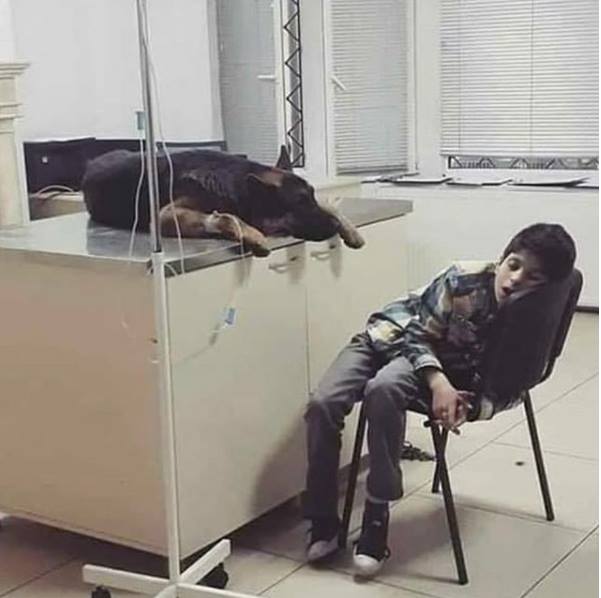 samafrance's tweet photo. 1) Les membres de notre famille à fourrure méritent notre amour éternel parce que lorsque nous sommes malades, tristes, ou que nous traversons des bas dans notre vie, nos animaux sont toujours à nos côtés. https://t.co/md2gEwKhBH