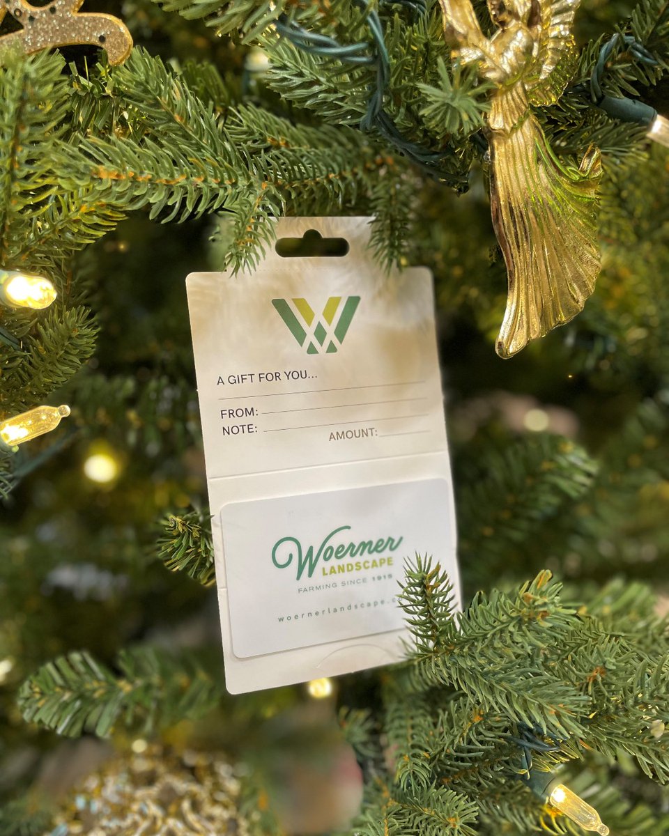 WoernerLS's tweet image. Christmas Eve is so close, we can almost taste the holiday spirit in the air! 🎄🌟 Stressed about last-minute gift shopping? Pick up a gift card from us, they're available right now!