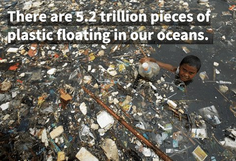 meliorist59's tweet photo. @MikeHudema #PacificGarbagePatch
#plasticpollution
#wtpEARTH
#wtpBLUE https://t.co/huZLQ7pDaC