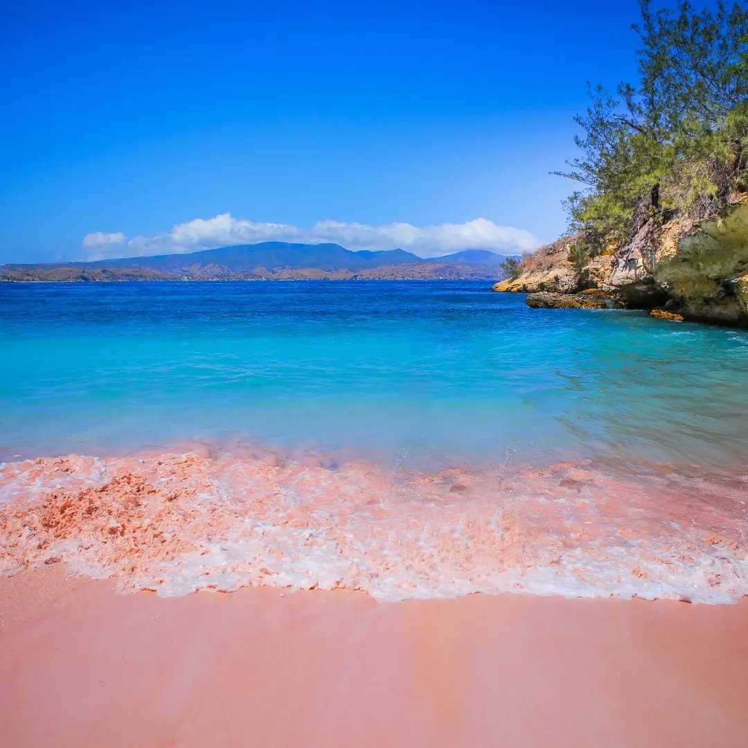 Komodo's #Pinkbeach is undoubtedly the most famous of the archipelago. The coral fragments, combined with the fine white sand, give the beach a unique nuance.