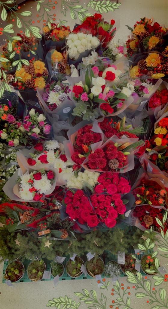 I promise this isn’t a hint🫣 how beautiful are the flowers this year 🤩 #coop #flowerdisplay #coopchristmas #itswhatwedo #xmas <a href="/amanda_eyre/">Amanda Eyre</a>