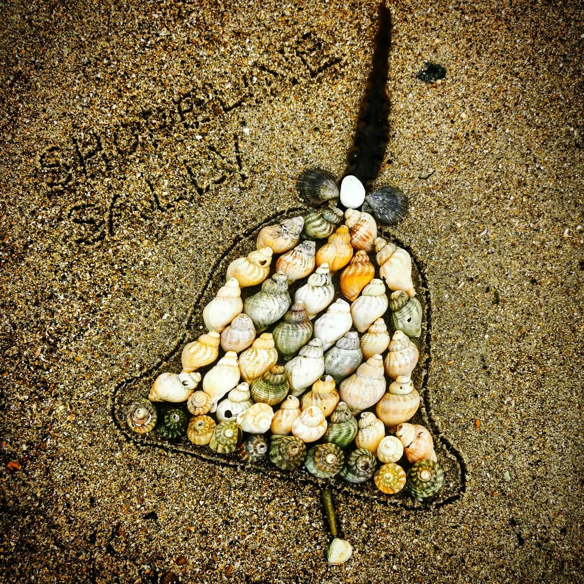 DigiDaughter's tweet photo. OPEN DOOR No. 22
SHORELINE ADVENT CALENDAR
🌧️🌧️🌧️🌧️
December 22nd - #Bells 🔔 #dingdong #AdventCalendar #Dec22 #seaweed #whelks #chalk #shells #sand #feather #christmas #beachart #sandart #handwriting #pebbleart #shellart #SandBanksy #ShorelineSally
#the12daysofbeachmas 💙🌊🌊 https://t.co/hMEue4cTYi