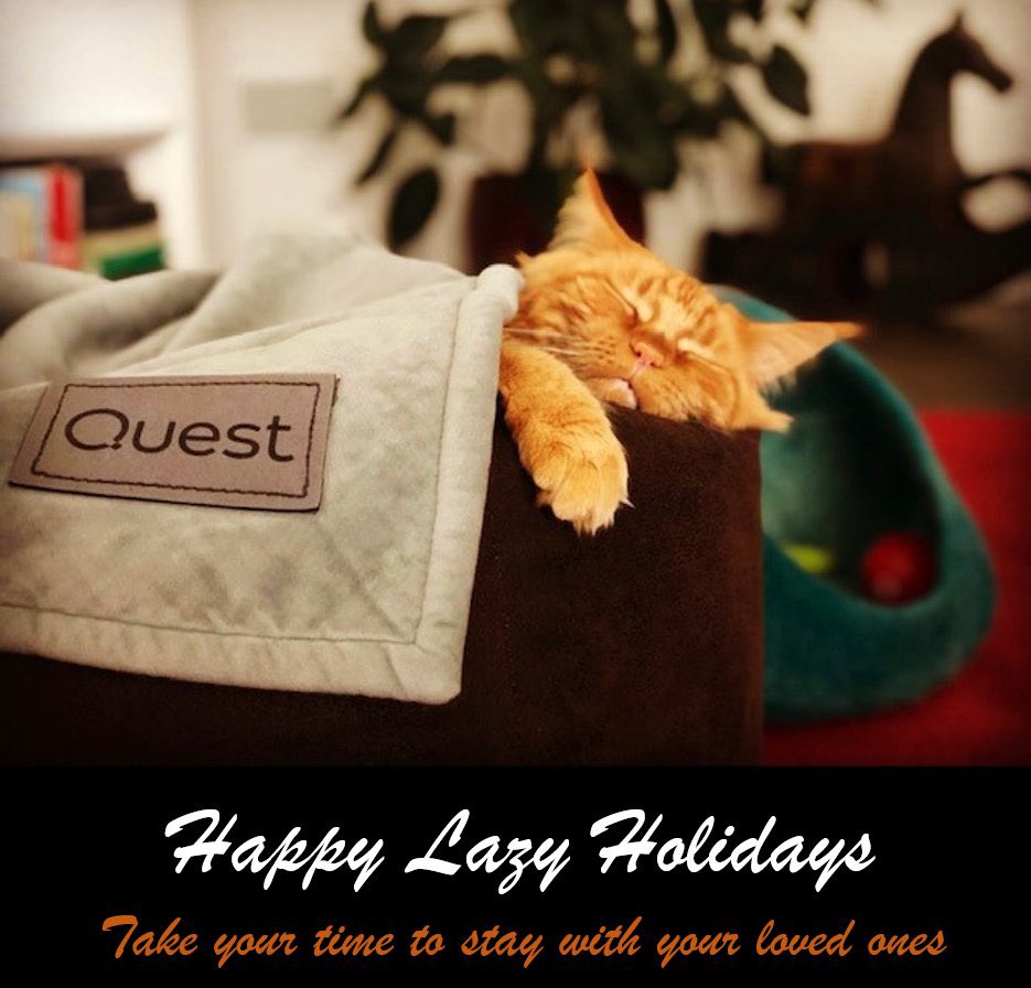 ManuelCarlotto's tweet photo. Happy Lazy Holidays from @Quest #wearequest #timeforyou #HappyHolidaySeason https://t.co/pd4t8jsVYj