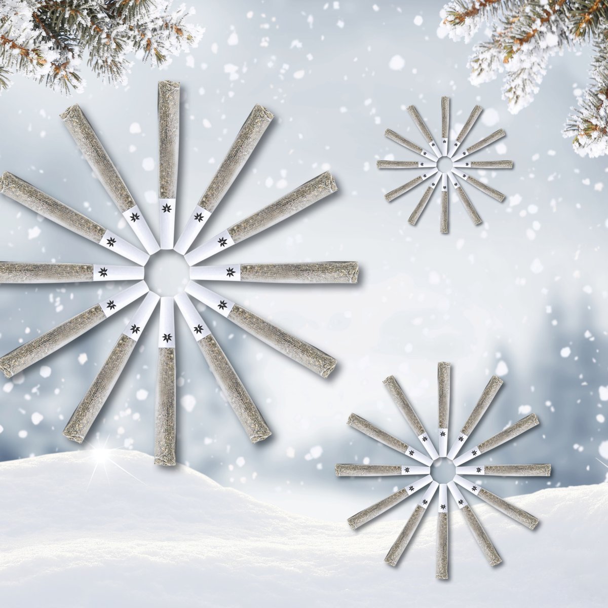 The weather outside is frightful….but the fire🔥 is so delightful 😉

Vertical pre-rolls are filled with premium quality bud (no filler) and hand-folded, for that extra premium step.

That's how we roll…

#VerticalCannabis #prerolls #premiumquality #letitsnow #howweroll