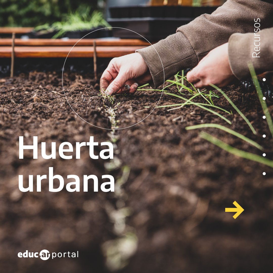 educarportal's tweet photo. ¿Sabías que tener una huerta casera 🍅 es una de las mejores maneras de autoabastecerse de alimentos orgánicos y de colaborar con el cuidado del ambiente?

Conocé cómo armar tu propia huerta casera y otras técnicas de agricultura urbana 

👉 https://t.co/YMSWqZQ0CI https://t.co/1lXwjWbslv
