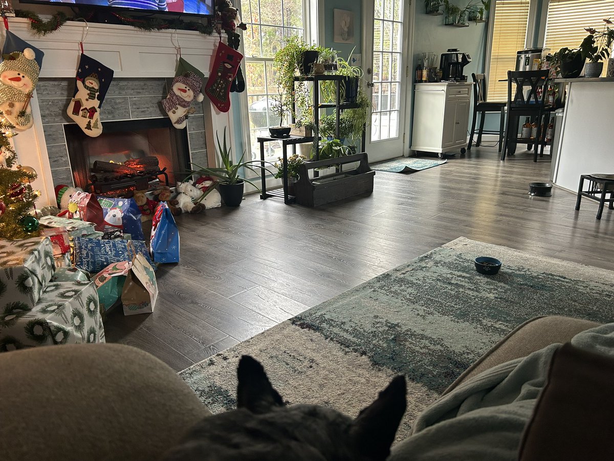 jb_sc's tweet photo. All the hustle and bustle is done. Time to settle in and be present. Merry Christmas All! https://t.co/HKHGze52BL
