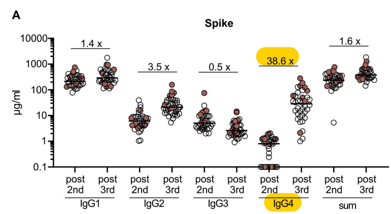 Class switch toward noninflammatory, spike-specific IgG4 antibodies after  repeated SARS-CoV-2 mRNA vaccination