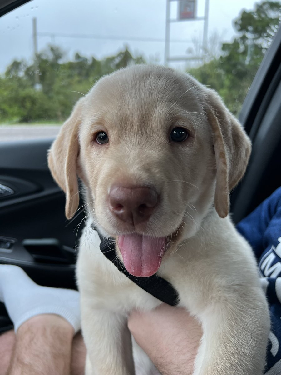 From Winchester, Virginia to the practice fields of Greentree the CANES welcome Thor Mirabal to the class of 2023!