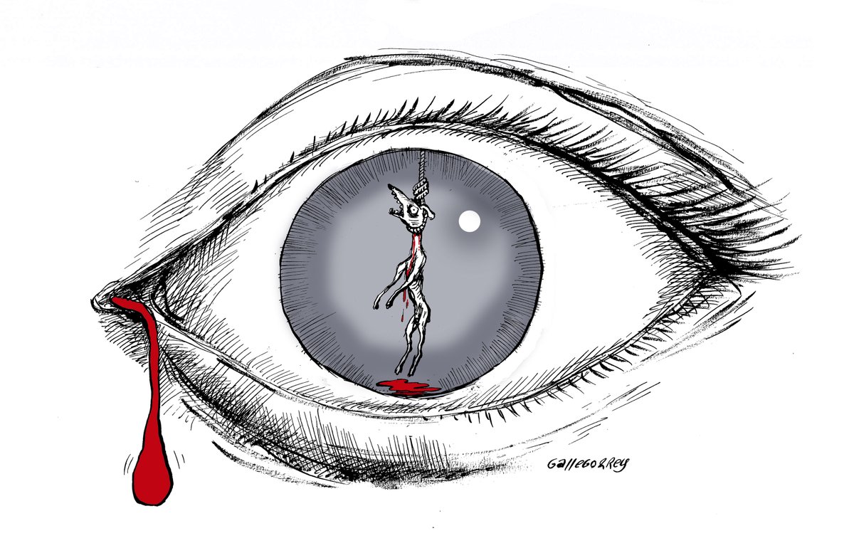 ReyDibujante's tweet photo. Se ha aprobado con los votos socialistas, el PP, Vox, PNV y Ciudadanos la enmienda presentada por el PSOE para excluir de la #LeydeProteccionAnimal  a los perros de caza. https://t.co/oMLlpfkdi5