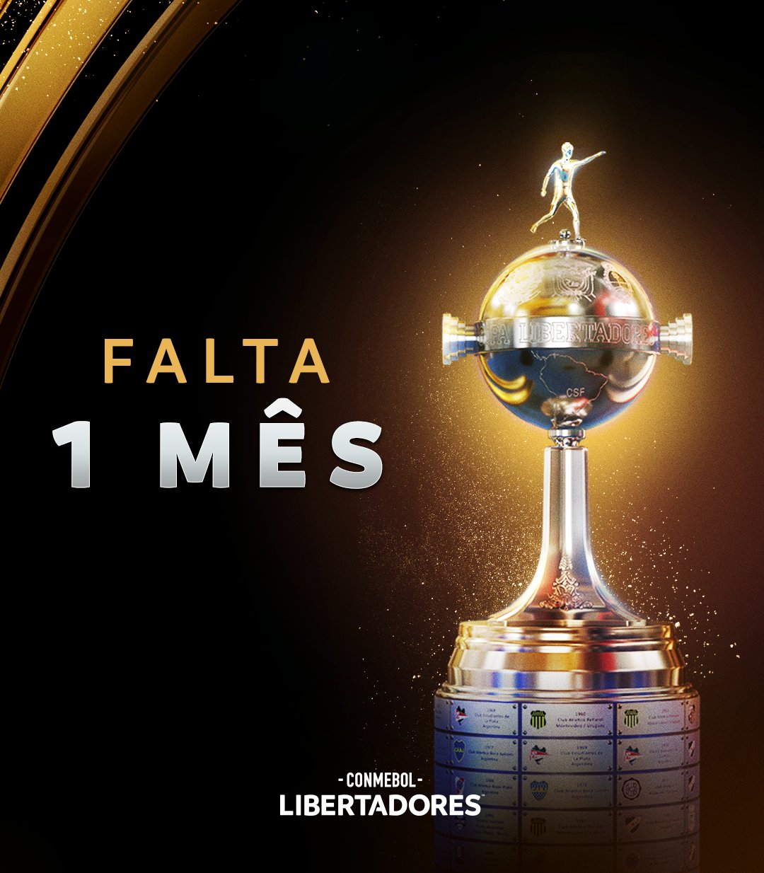 Chegoua hora! #finaldalibertadores #comebollibertadores2023 #vamostri