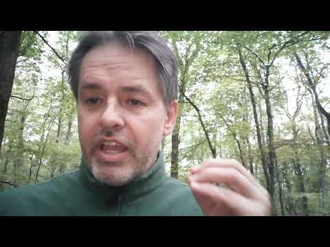 Do you care about the #Environment?
At  inform-e.net we are helping people who want to make a difference, following the #2030Agenda
We're Teaming Up for a Better World ! Come on Board ! 😃👍🌱🌎
zcu.io/x7CI