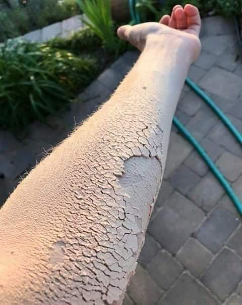 Así de seco estoy para las fiestas