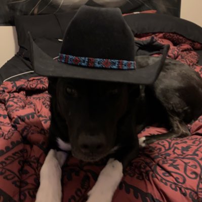 Randym_416's tweet photo. There’s a new sheriff in town. https://t.co/aRDorWHWLv