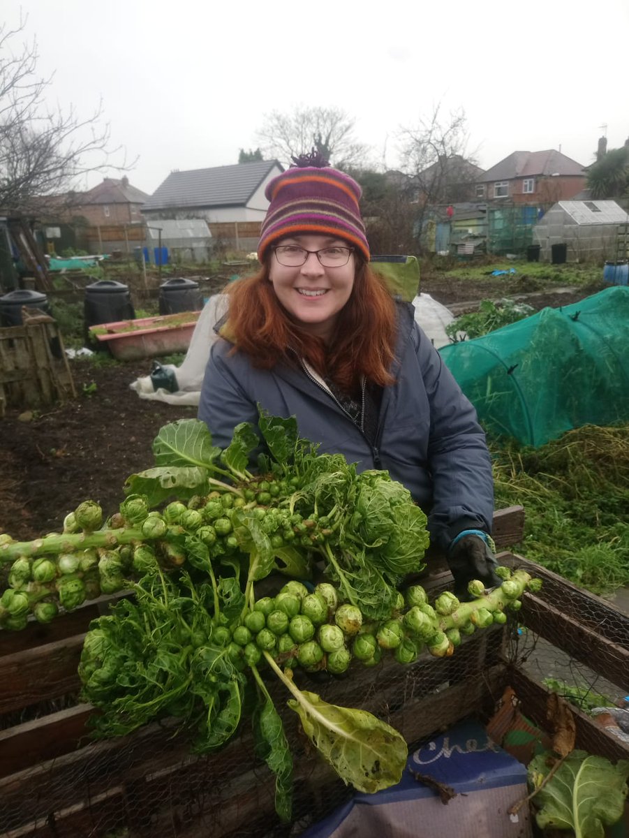 First Christmas on the plot. <a href="/GWandShows/">BBC Gardeners World</a>