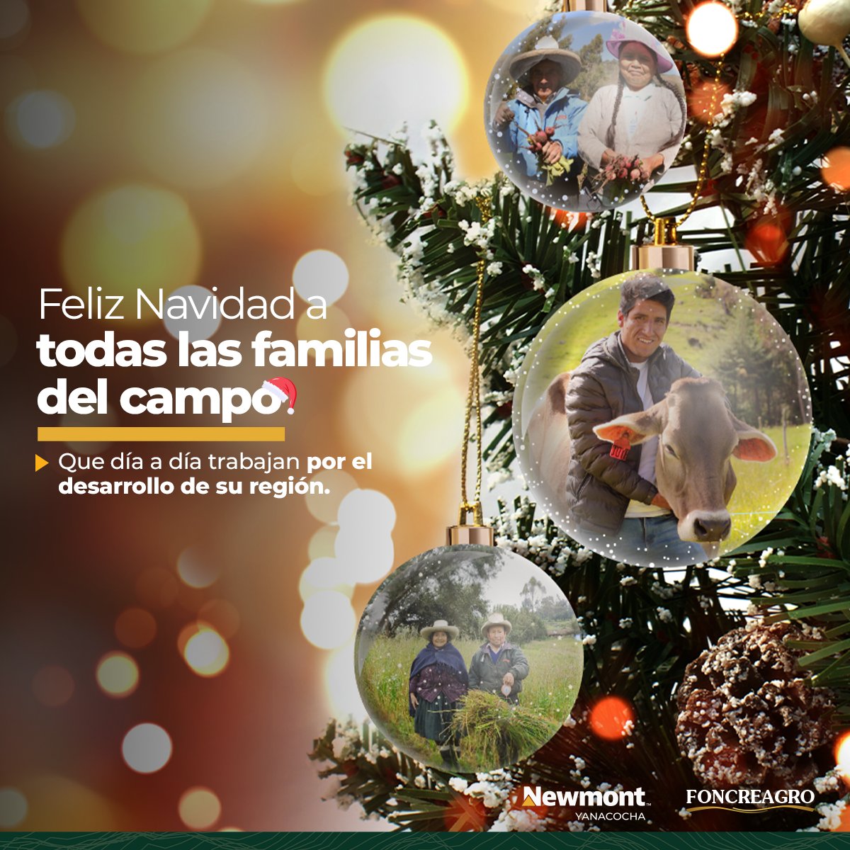 FoncreagroCaj's tweet photo. 🎄✨¡Feliz Navidad! ✨🎄

En este día especial, sigamos compartiendo amor y alegría con nuestros seres queridos, y fortalezcamos, aún más, nuestros lazos de amistad, respeto y unión. 

#AmorYRespeto  #AliadosDelCampo https://t.co/qIISCFeED5