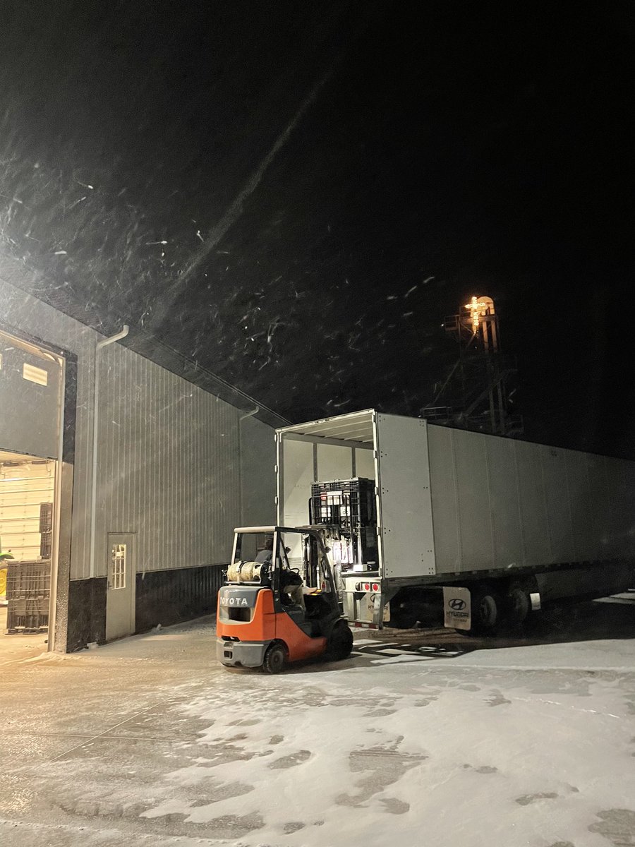 LuseSeed&Insurance tweet media