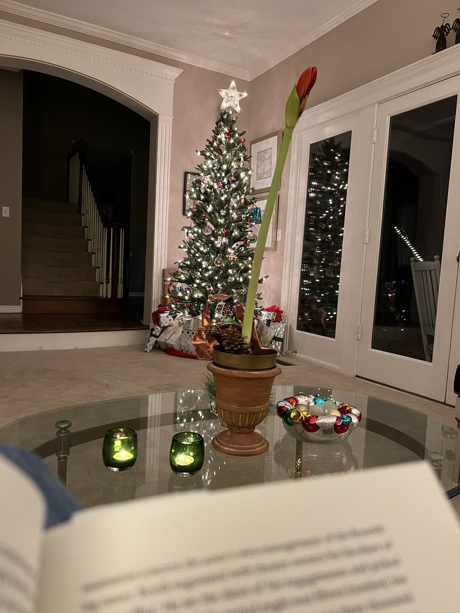 #Reading tonight with this view and quiet instrumental carols in the background. Merry #Christmas to all!