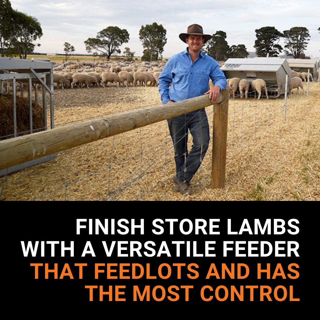 FINISH STORE LAMBS WITH A VERSATILE FEEDER THAT FEEDLOTS &amp; HAS THE MOST CONTROL 
Get the most out of your infrastructure with a feeder that can be used all year 
☑️Feedlotting
☑️Supplementing pregnant ewes
☑️Growing out replacements
☑️Creep feeding
☑️Complementary feeding weaners