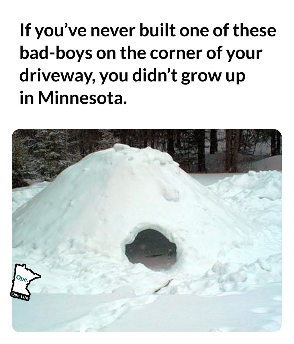 opelifemn's tweet photo. It's true. #minnesota #snowstorm https://t.co/lpMWQLxmgJ