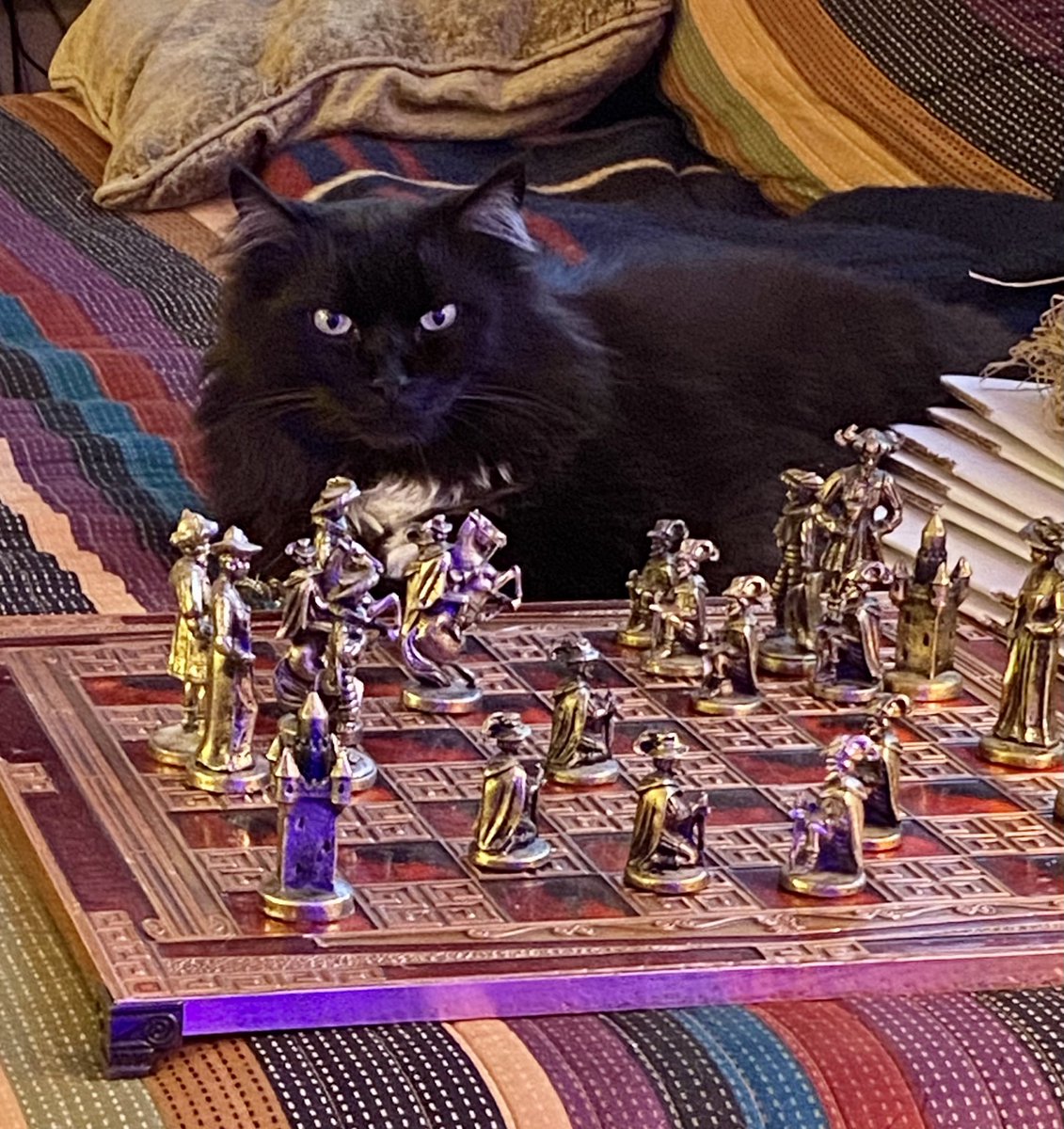 efilnikufsin's tweet photo. Your move. #ZipIn https://t.co/HIqFikqWj7