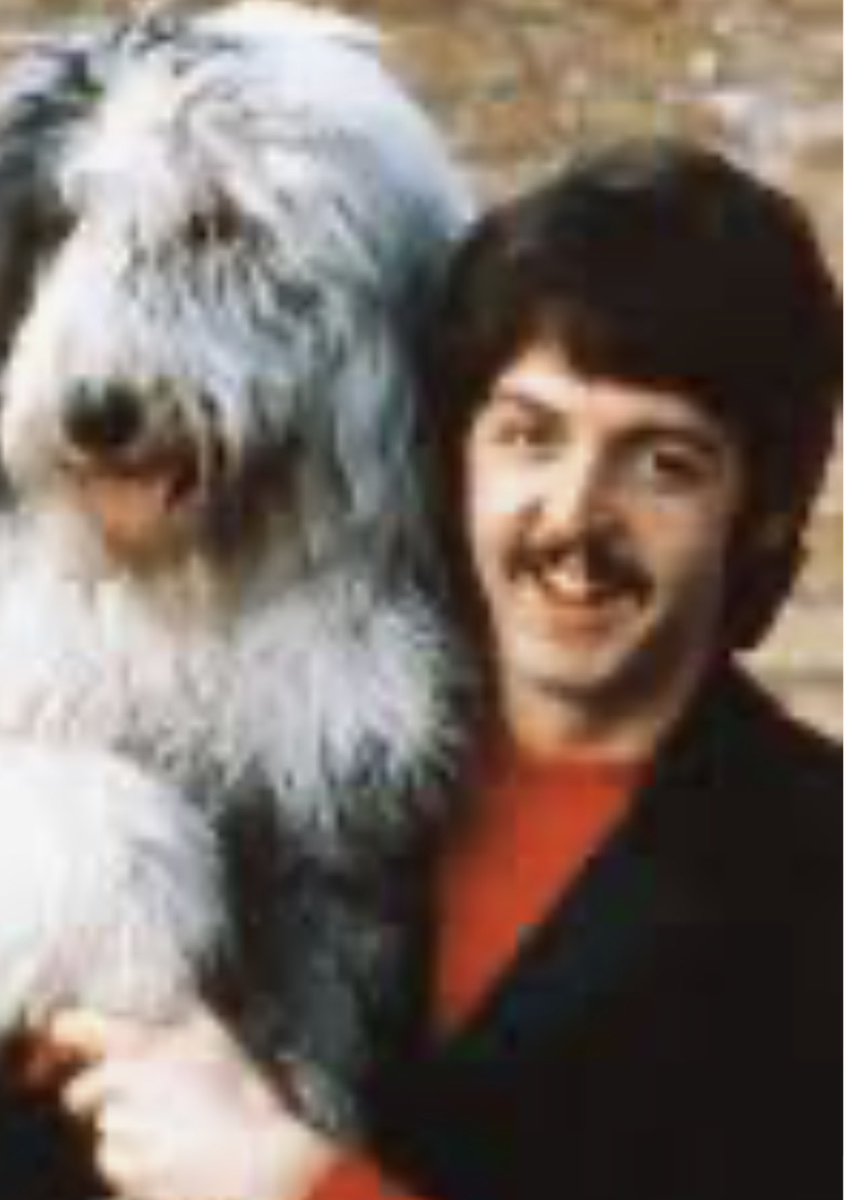 STLenergized's tweet photo. @BeatlesEarth I thought that was Martha for a second https://t.co/vBpuwz3mKY