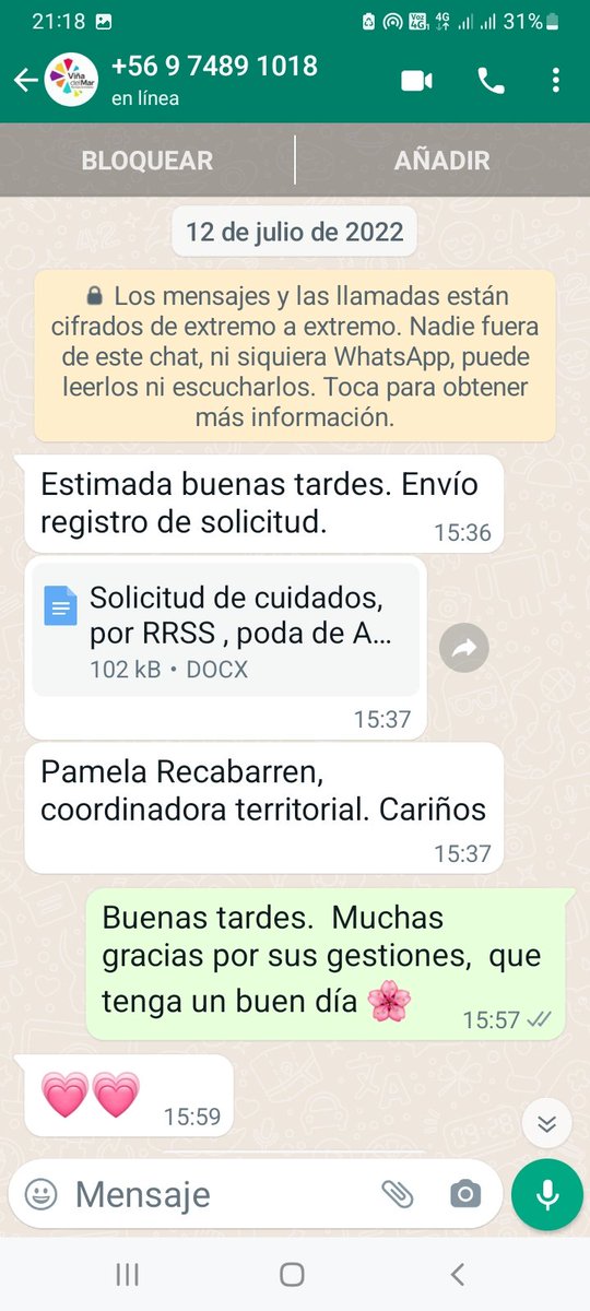 politareyess's tweet photo. Desde julio pidiendo que vean poden arboles secos,. Gastan plata en festivales , fuegos artificiales y tonteras y  no en cuidar la ciudad 😔. Da lo mismo el partido político siempre es igual 😔 #aguasanta #VinadelMar #viña #quintavergara #incendio #bomberos #PuertoVentanas https://t.co/L5u6J4YRYg