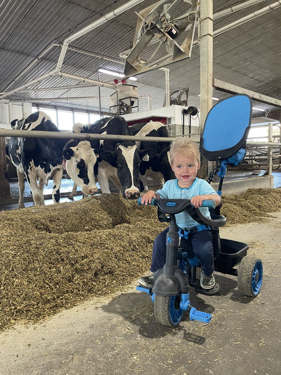 Emily Bertens tweet media